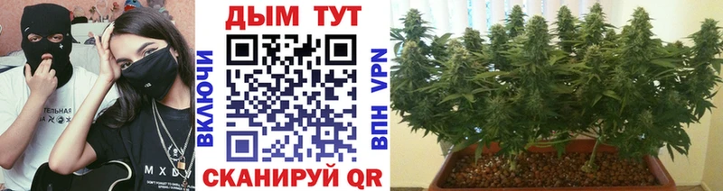 Где купить наркотики Перевоз COCAIN  МЕФ  Alpha-PVP  МЕГА ссылка  Бошки Шишки 